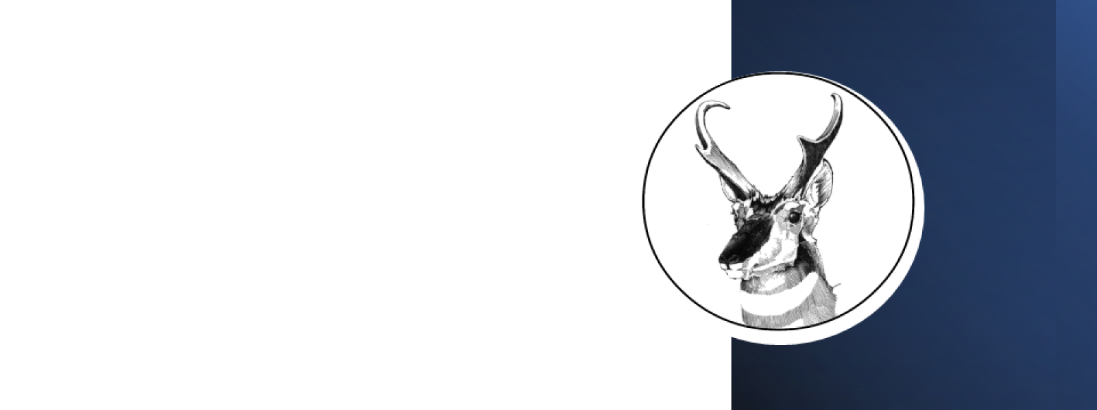 Pronghorn with no text